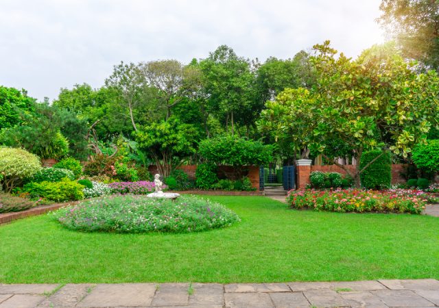 Beautiful English cottage garden, colorful flowering plant on smooth green grass lawn and group of evergreen trees in good care maintenance landscaping of a public park under white sky and sunshine morning