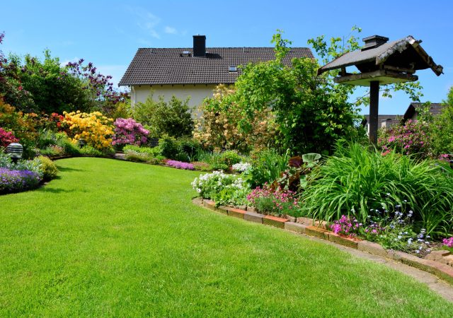 in the garden
